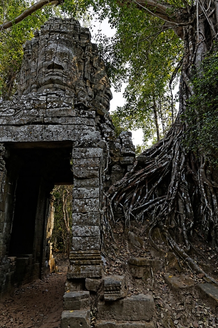 Ta Phrom et environs-011
